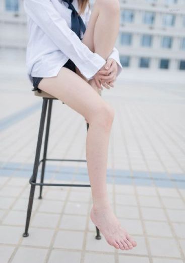一条狗的回家路免费观看完整版