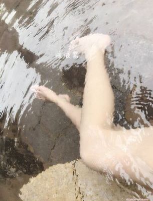 灿烂的花园综艺免费观看